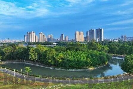 大象英语视频教学视频-探索大象英语视频教学，提升语言学习的趣味与效率